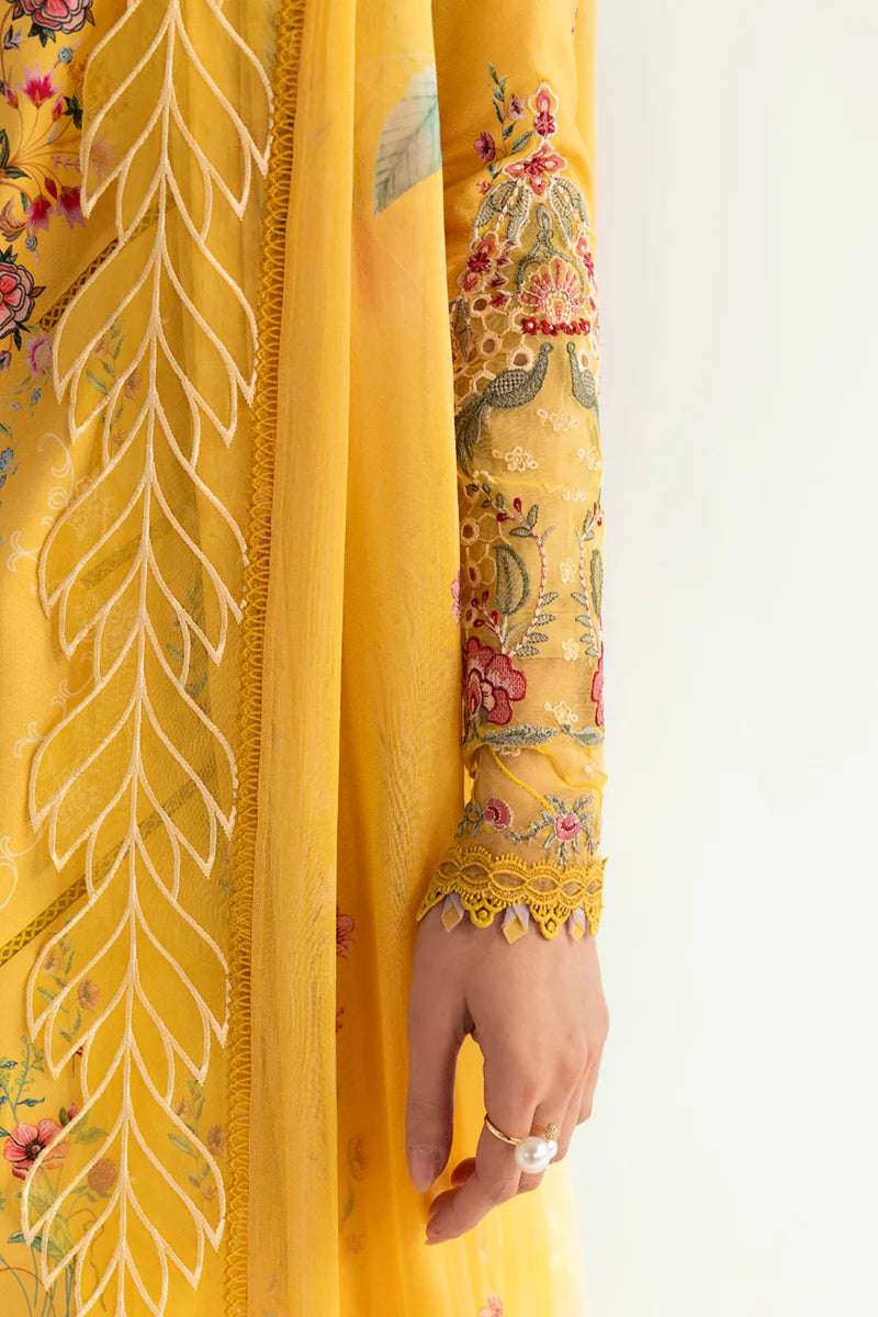 Qalamkar Qprints unstitched lawn suits - 2025 - Mehr