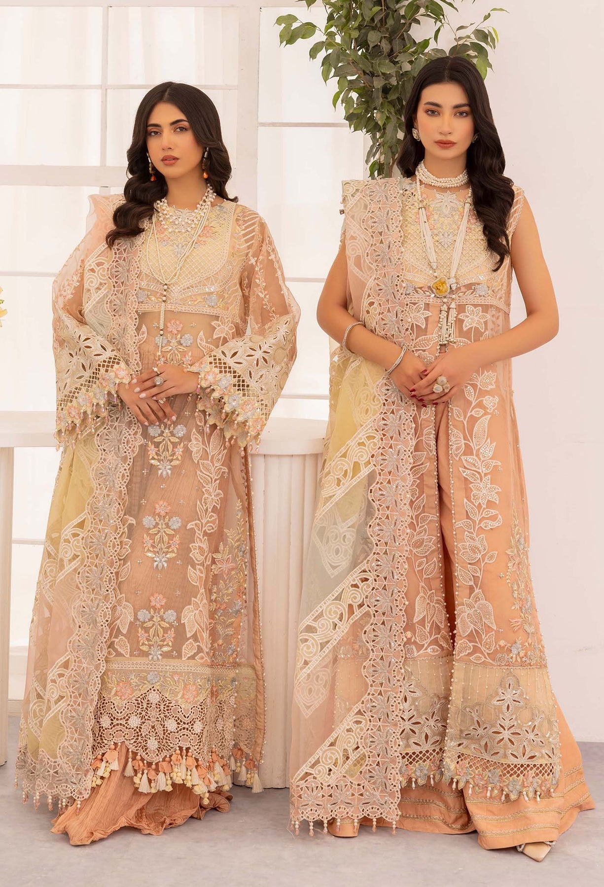Adan's Chantelle Chiffon Suits | 2024 | BLUSH OPAL