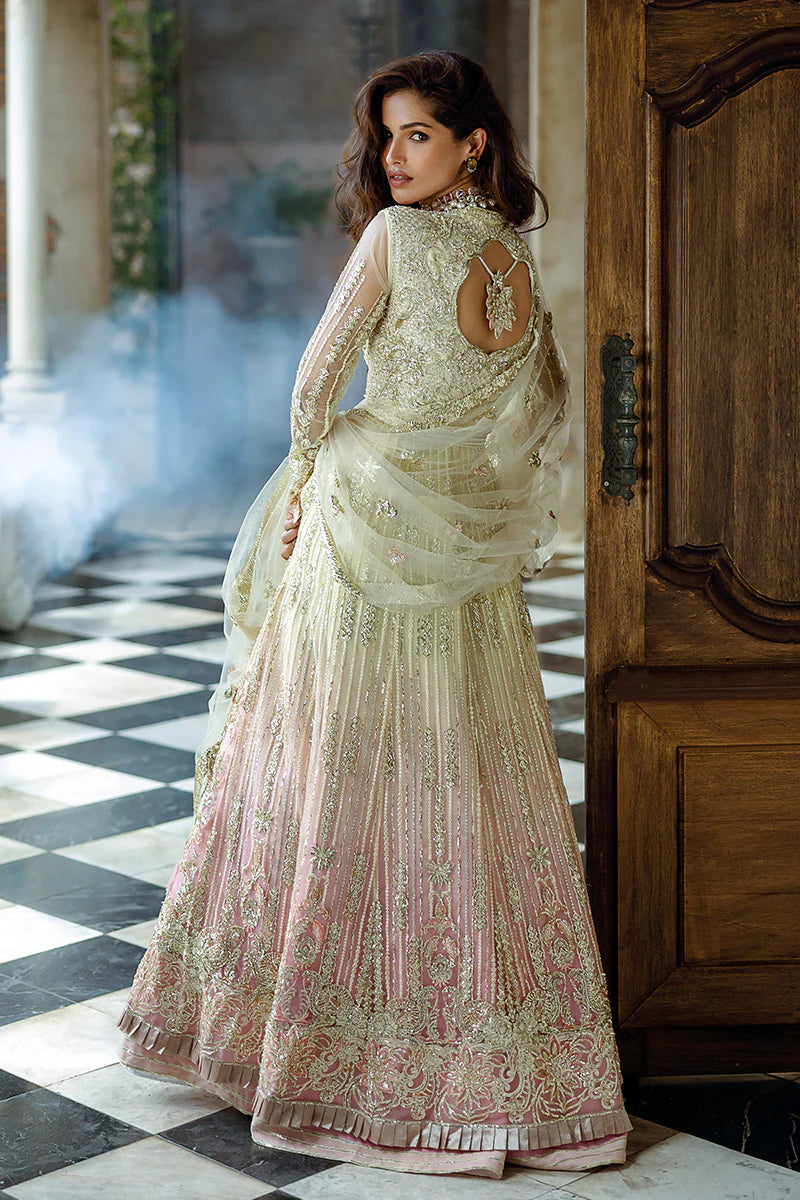 Mushq Stardust | Unstitched Wedding Suits Collection - 2024 - Cosmic Couture