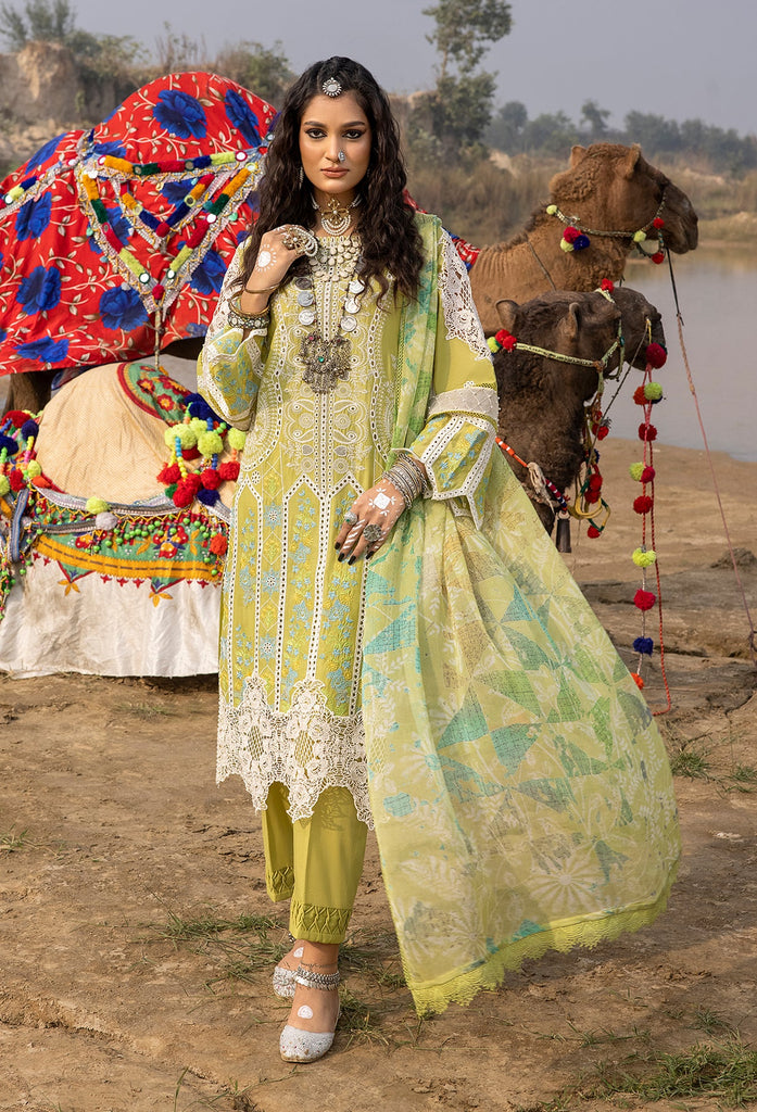 Adan's Libas Lawn Suits by Hafsah Zia | 2024 | D-5522