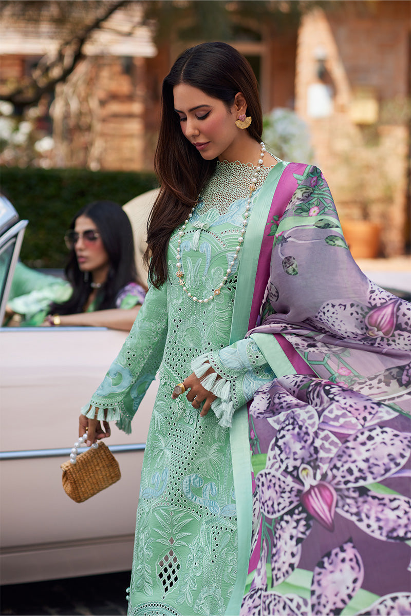 Mushq Luxury Lawn Suits | 2024 | Te Amo | PIAZZA PANACHE