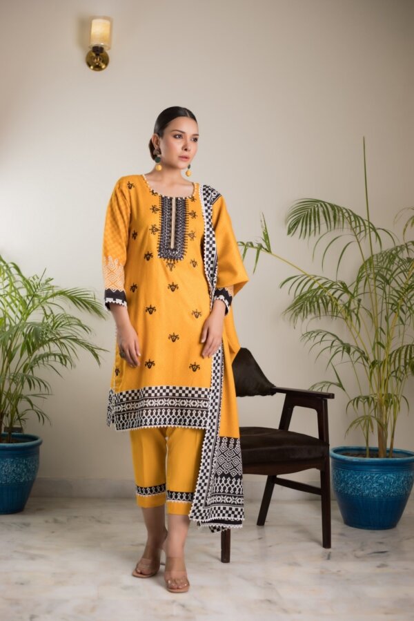 Sahil Embroidered Limited Edition 2021 – 4A