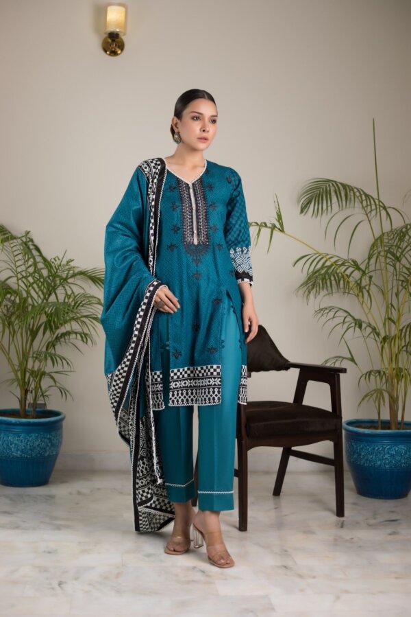 Sahil Embroidered Limited Edition 2021 – 4B