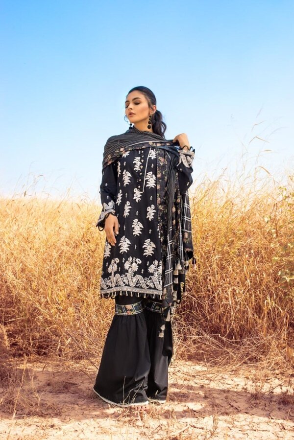 Kalyan Chikankari 2021 – D-02