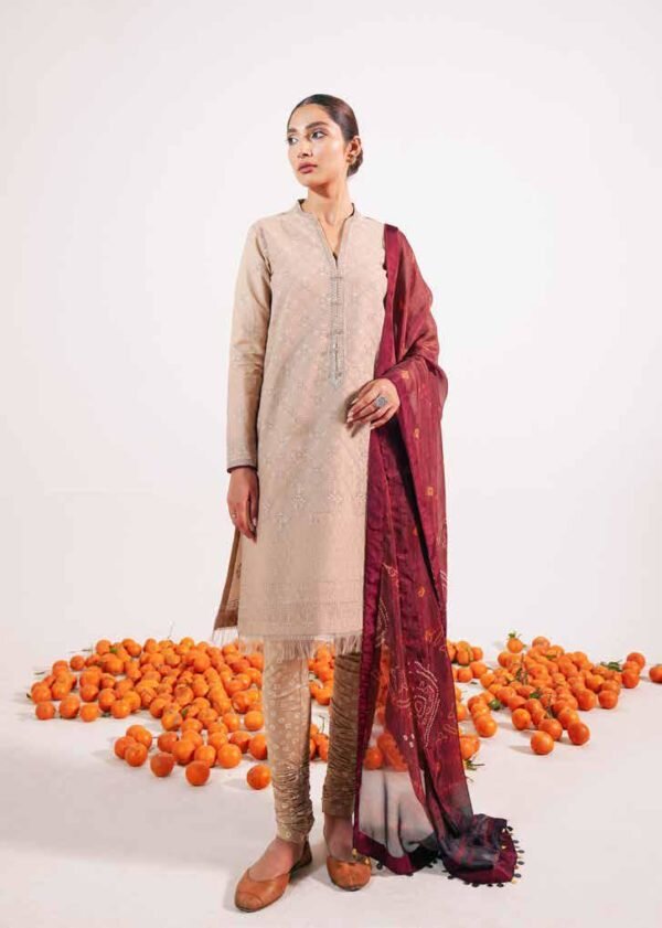 Zara Shahjahan Embroidered Lawn 2021 – SOHNI-A