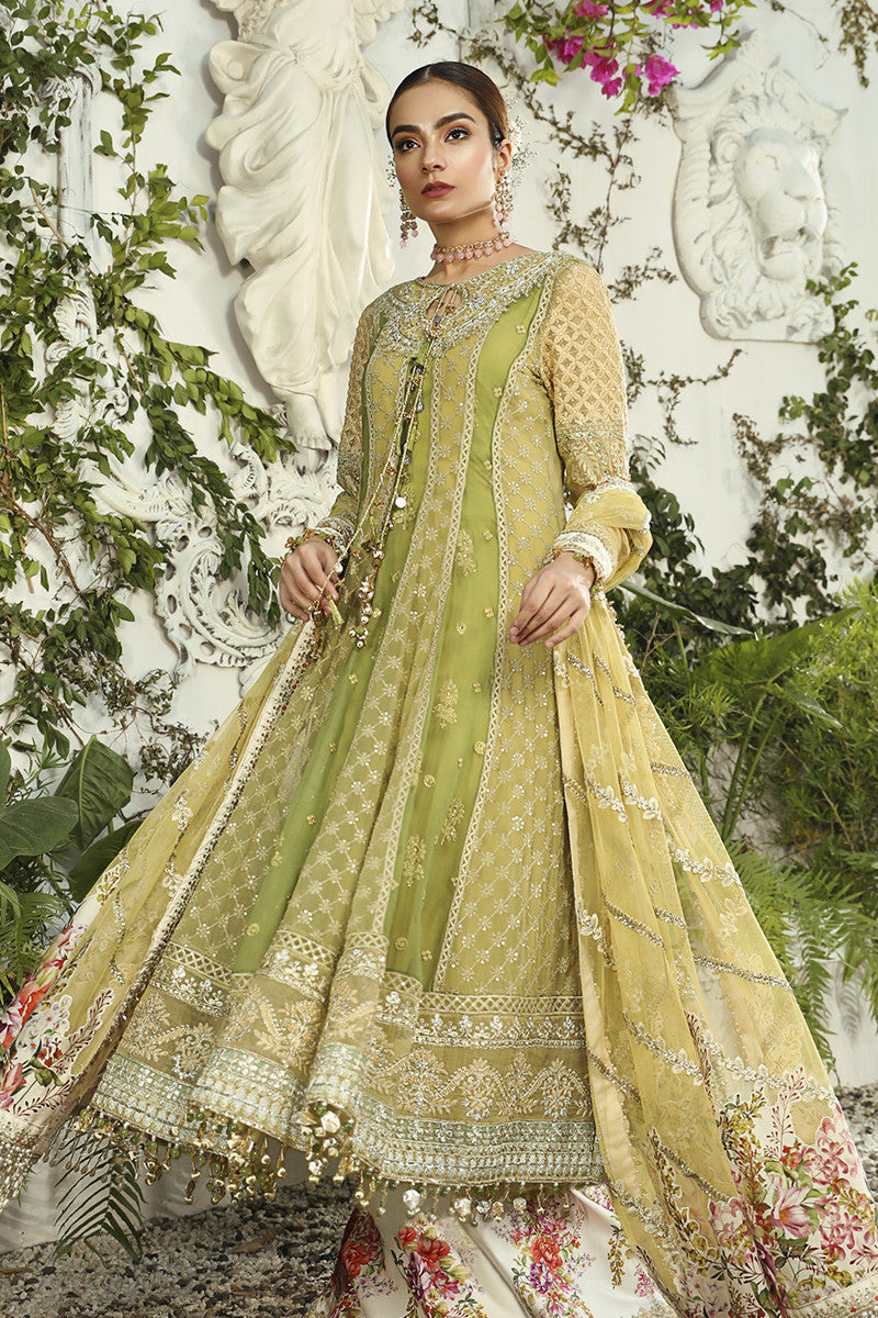 Maria B Mbroidered Chiffon Collection - Bd-1904